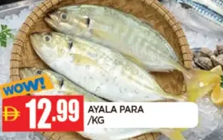 Ayala Para