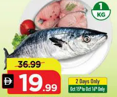 King Fish Medium