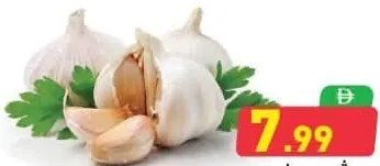 Garlic China