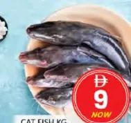 Cat Fish