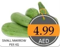 كوسا صغيرة