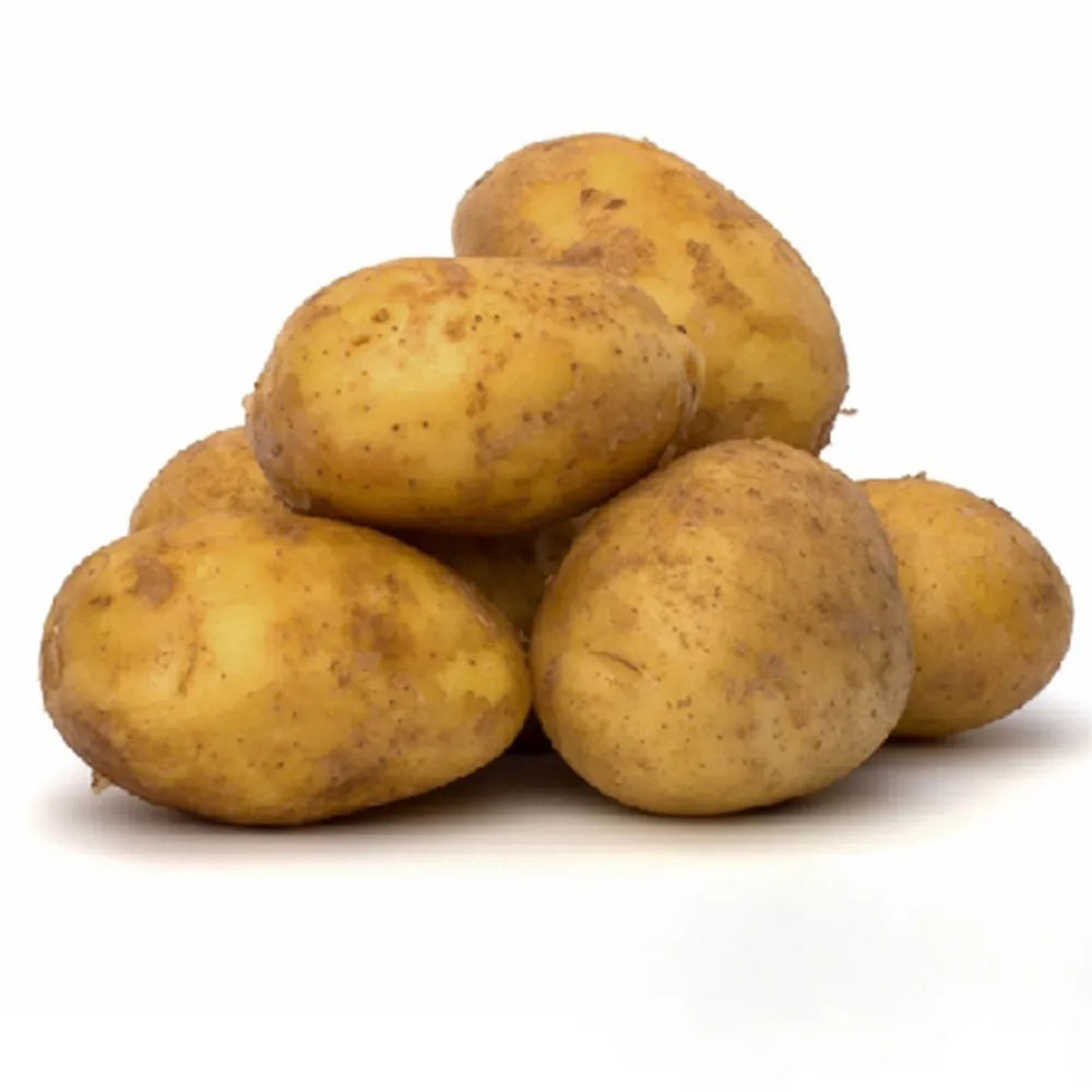 بطاطس السعودية