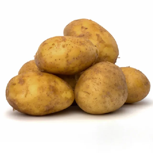 Saudi Arabia Potato