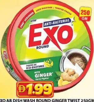 Exo Ab Dish Wash Round Ginger Twist