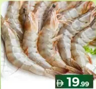 جمبري طازج