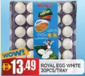 Royal بيض أبيض الصفا