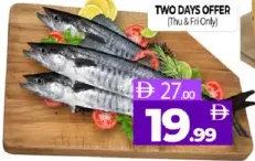 King Fish Small