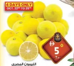 ليمون مصري