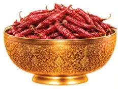 Dry Chilly Long