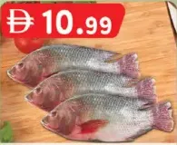 Tilapia
