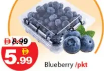 Blueberry