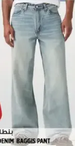 NSX Mens Denim Baggis Pant