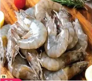 Shrimp