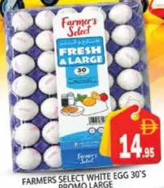Farmers Select White Egg Large