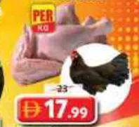 Fresh Leghorn Chicken