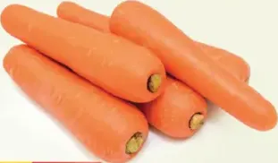 Carrot China