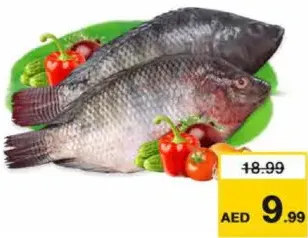 Tilapia Fresh Egyptian Per Kg