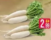 فجل أبيض