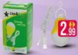 Lisa & Gary Led Bulb