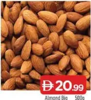 Almond Big
