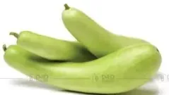 يقطين طويل أخضر أو أبيض، بالكيلو، الهند