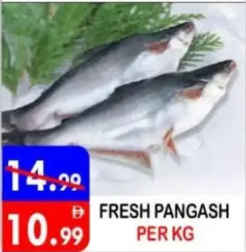 Fresh Pangash