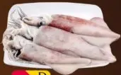 حبار