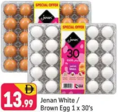Jenan White / Brown Egg