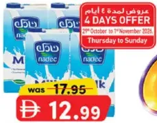 Nadec حليب UHT كامل الدسم