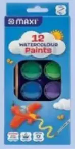 Maxi Watercolor 12 Color