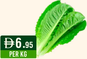 Lettuce Long/Iceberg/Carrots