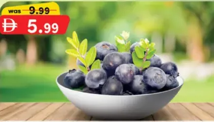Blueberry Zimbabwe