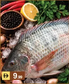 Fish- Tilapia
