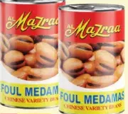 Al Mazraa Foul Medames
