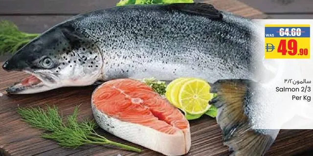 Salmon 2/3