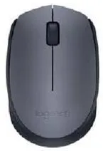Logitech Wireless Mouse M170
