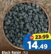 زبيب الأسود