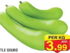 Bottle Gourd