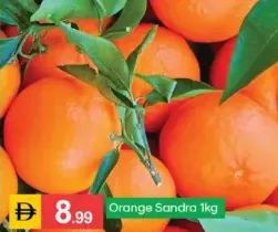 Orange sandra