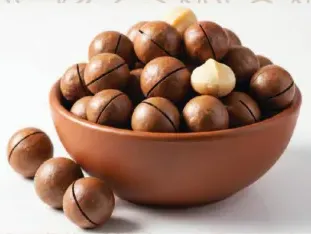 Macadamia Nuts