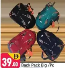 Back Pack Big