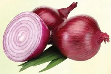 Onion Red