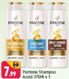 Pantene Shampoo Assorted