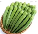 Lady Finger