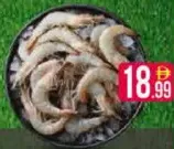Shrimp