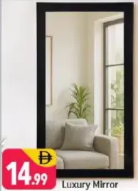 Luxury Mirror