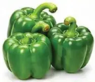 Capcicum Green