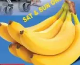 موز فلبيني