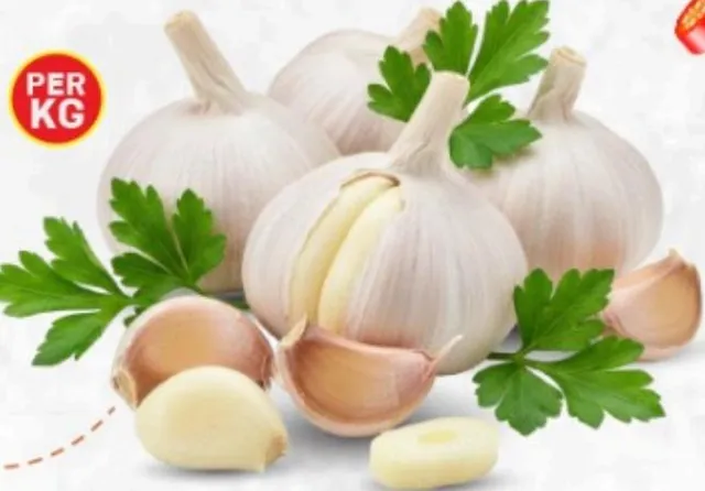 Garlic China