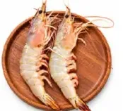 روبيان